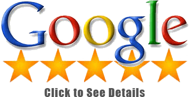 5 Star Google Review Logo - google-reviews-eo-tan-5-star - Business & Family Insurors, Inc