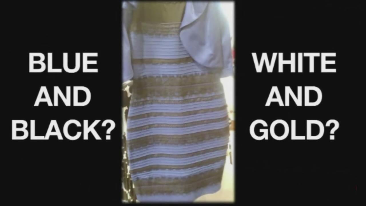 White and Blue Ir Logo - We asked psychology professors, color perception experts to explain ...