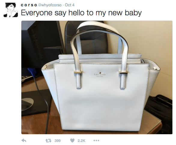 White and Blue Ir Logo - Is this handbag Blue or White… It's 'The Dress' debate all over ...