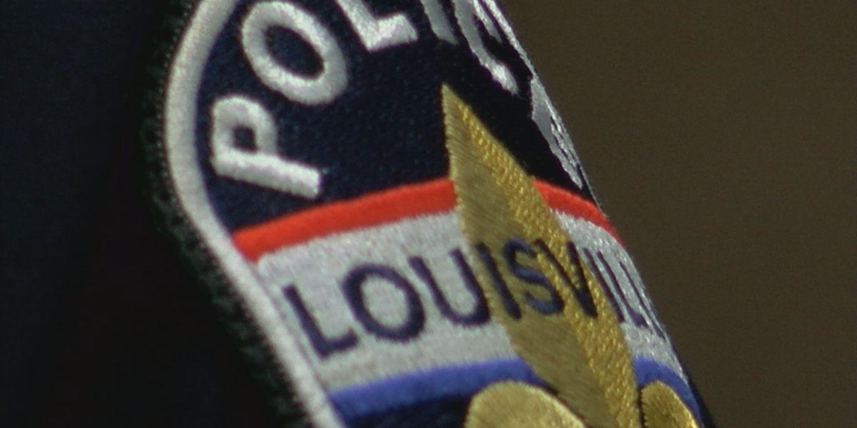 Louisville Fire Logo - Police, fire rescue dog stuck on Louisville roof
