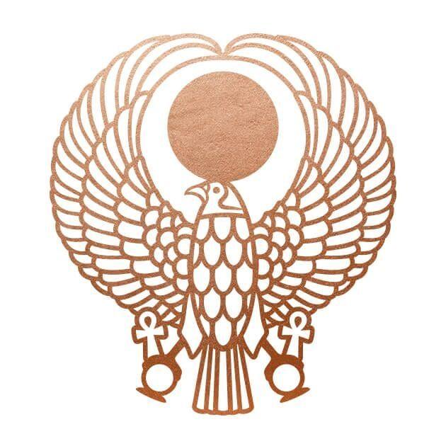 Create a Falcon Logo - Falcon
