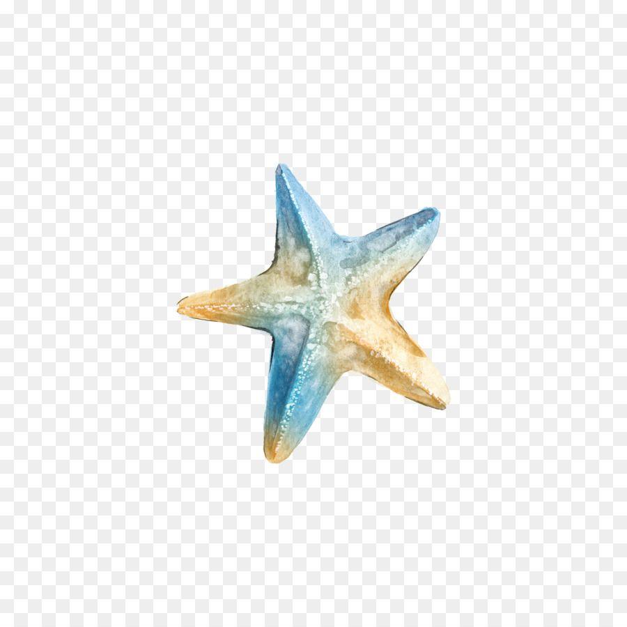 Starfish Logo - Logo Ta Clip art - Watercolor starfish png download - 2400*2400 ...