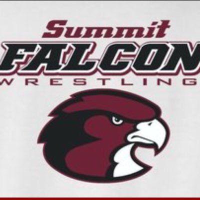 Falcon Wrestling Logo - Summit Wrestling