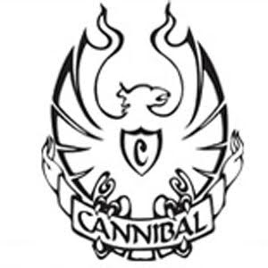 Cannibal Surf Logo - 5 Best Surfboard Brands that Pros Use - Pool University