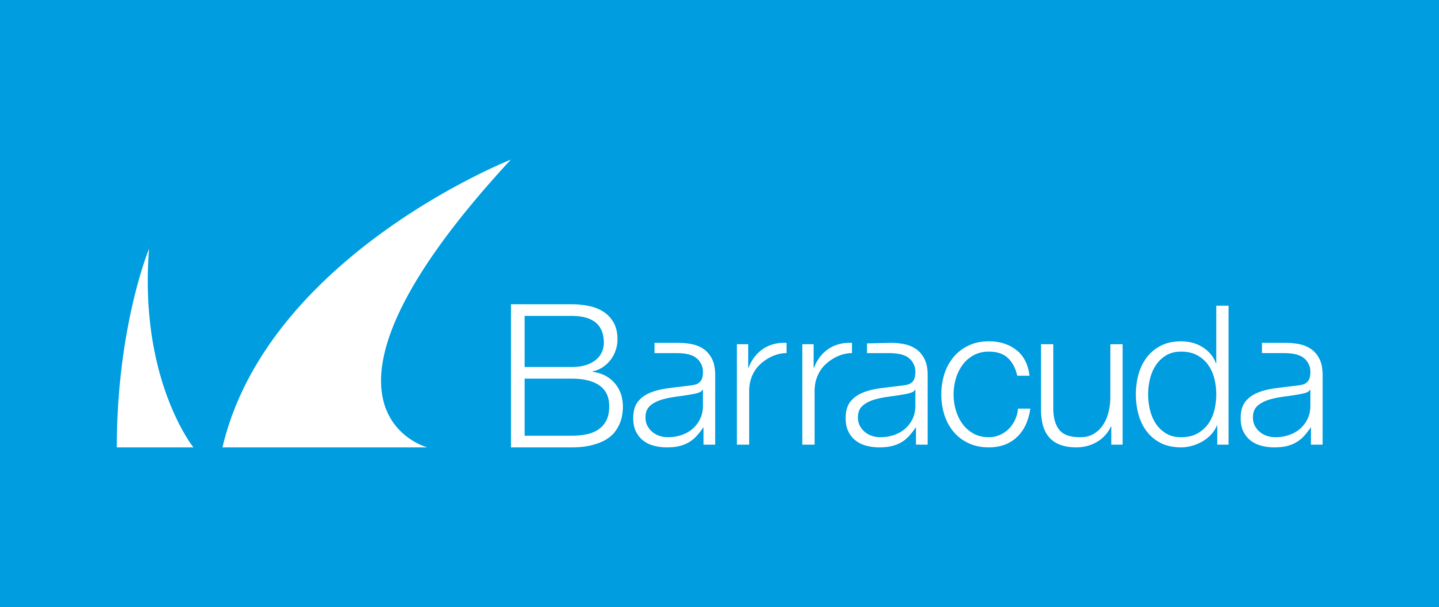 Barracuda Networks Logo Logodix