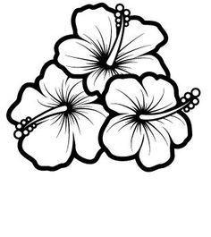 Hawaiian Flower Black Flower Logo - Easy To Draw Hawaiian Flowers - Rocks. Drawings, Hibiscus flowers