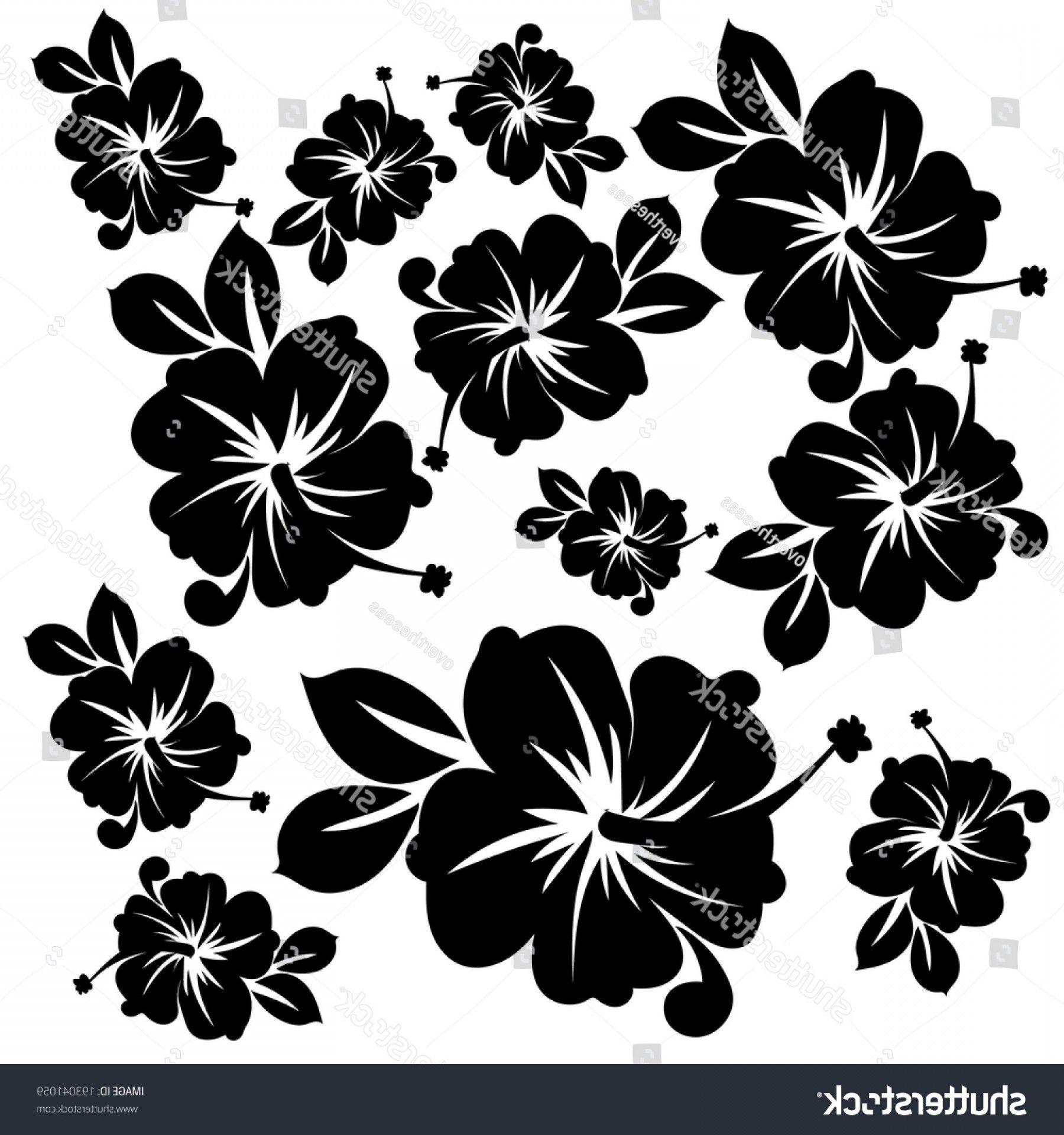 Hawaiian Flower Black Flower Logo - Hawaii Flowers Black White Pattern | SOIDERGI