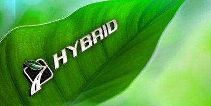 Hyrbid Leaf Logo - Hiding Green | The Fresh Peel by Brand Marketing Strategist, Chris ...