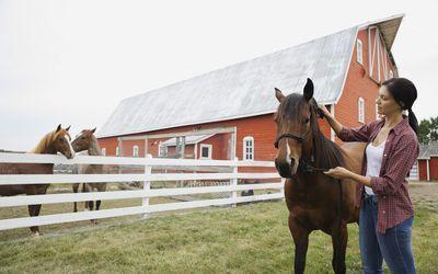 Cool Horse Farm Logo - Career Options for Working With Horses