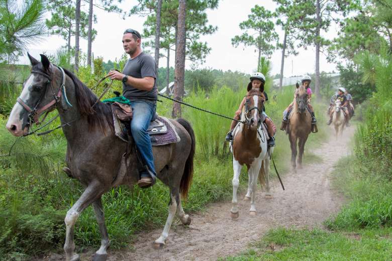 Cool Horse Farm Logo - Ready to Ride? Welcome to 30A Horse Farm at Arnett's Gulfside