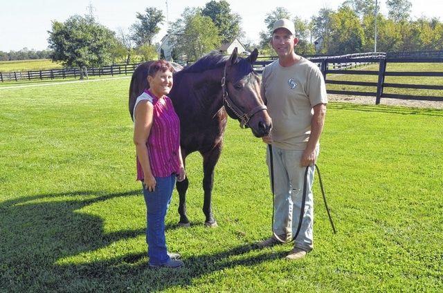 Cool Horse Farm Logo - Top horse breeder calls Lima home Lima News