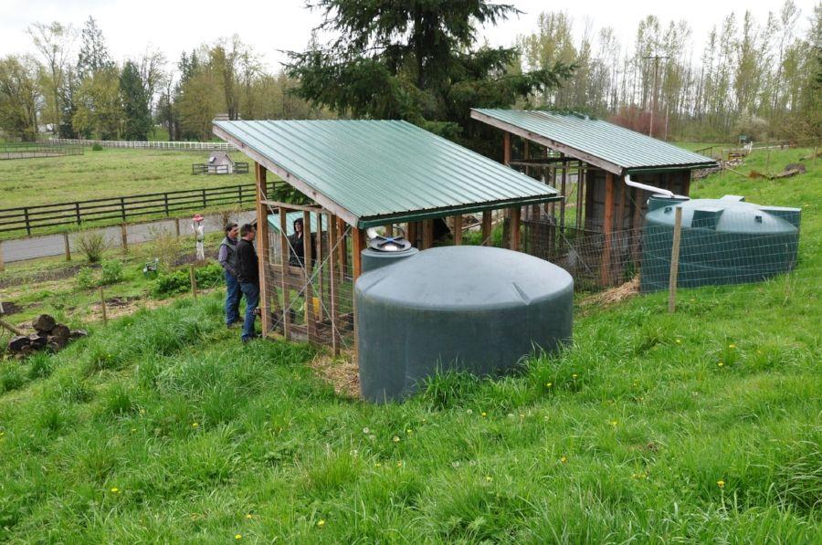 Cool Horse Farm Logo - Online: Outdoor Wash Racks & Cool Water Conservation Ideas