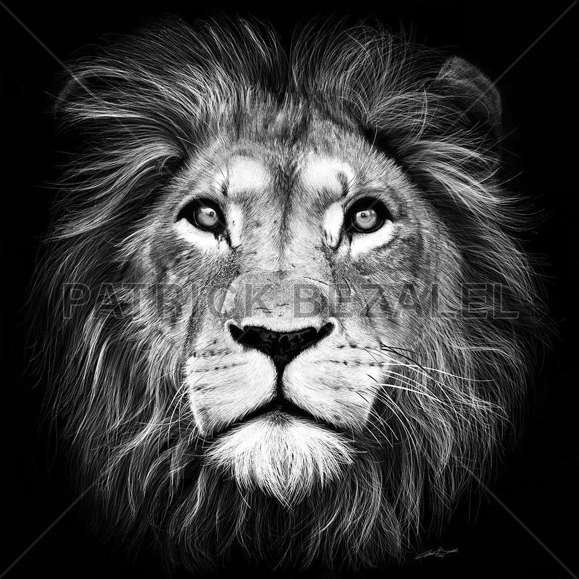 Lion of Judah Logo - Lion of Judah Classic Print 30cm x 30cm