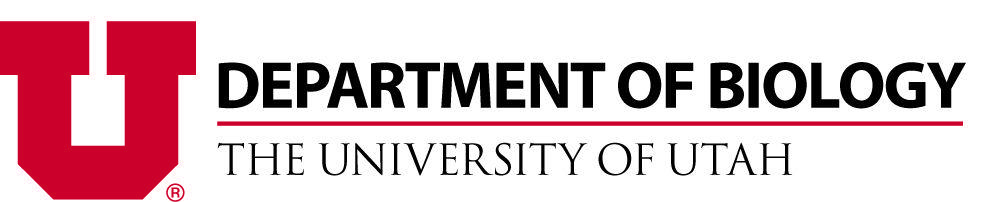 U of U Black Logo - The University of Utah