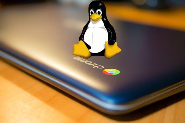 Google Chromebook Logo - Linux apps are NOT coming to many still-supported Chromebooks