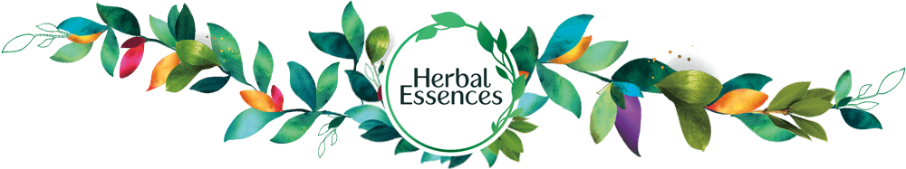 Hair Product Logo - Hair care and styling products Herbal Essences