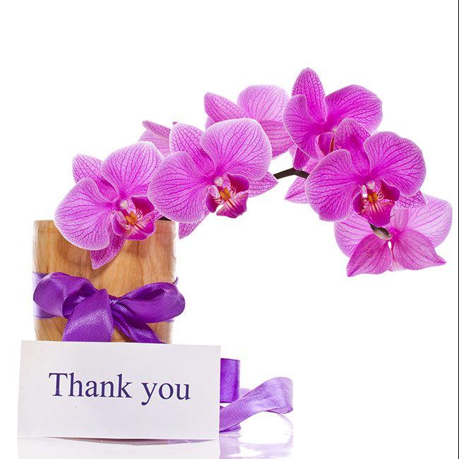Flowery U Logo - Thank You Notes to Express Gratitude