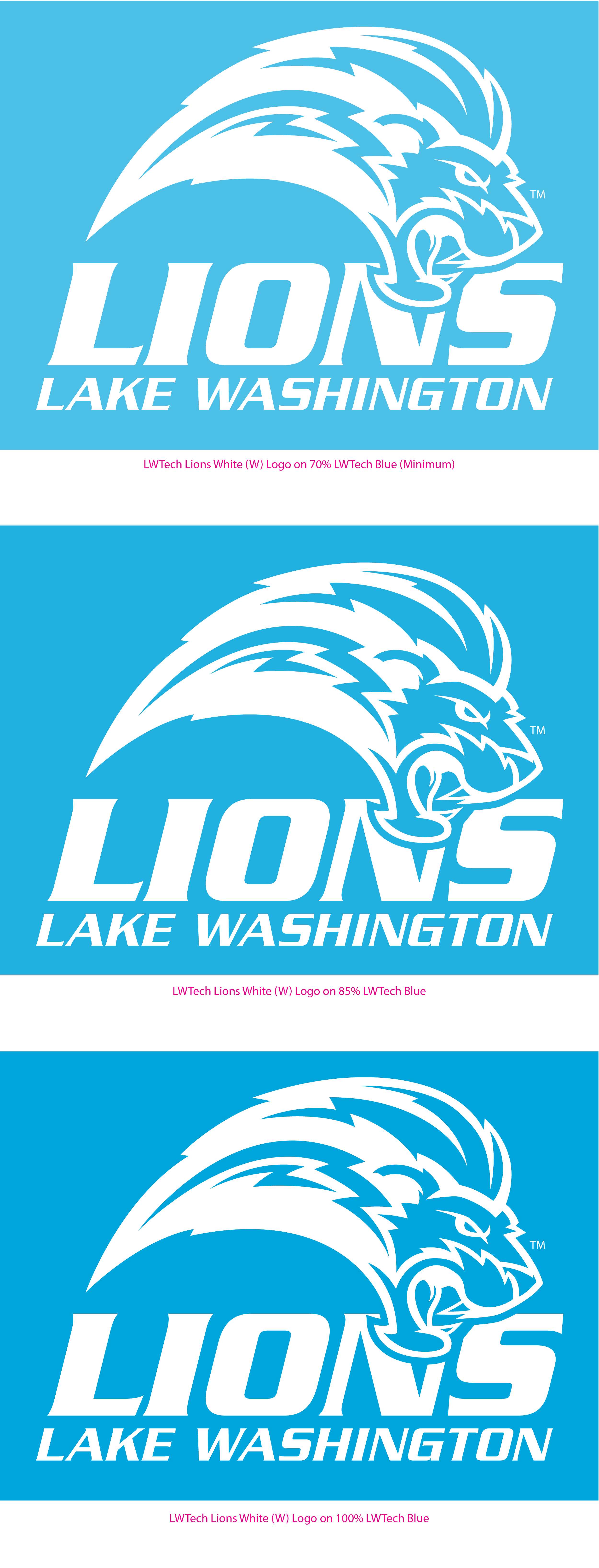 White And Blue W Logo - Logo | Lake Washington Institute of Technology
