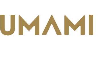 Han Logo - Amsterdam - Umami by Han