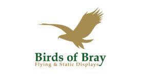 Bray Logo - Birds of Bray are back on the Mall on 22nd September – Christopher Place