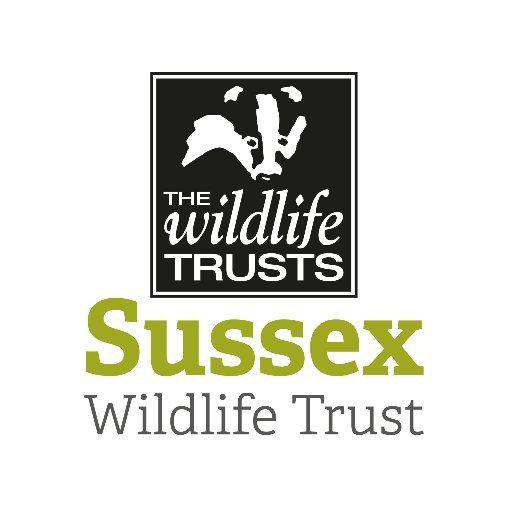 Wt Logo - Sussex WT logo Biodiversity Network