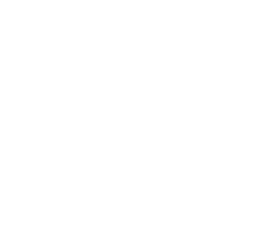 Bir Logo - Home Recycling Day