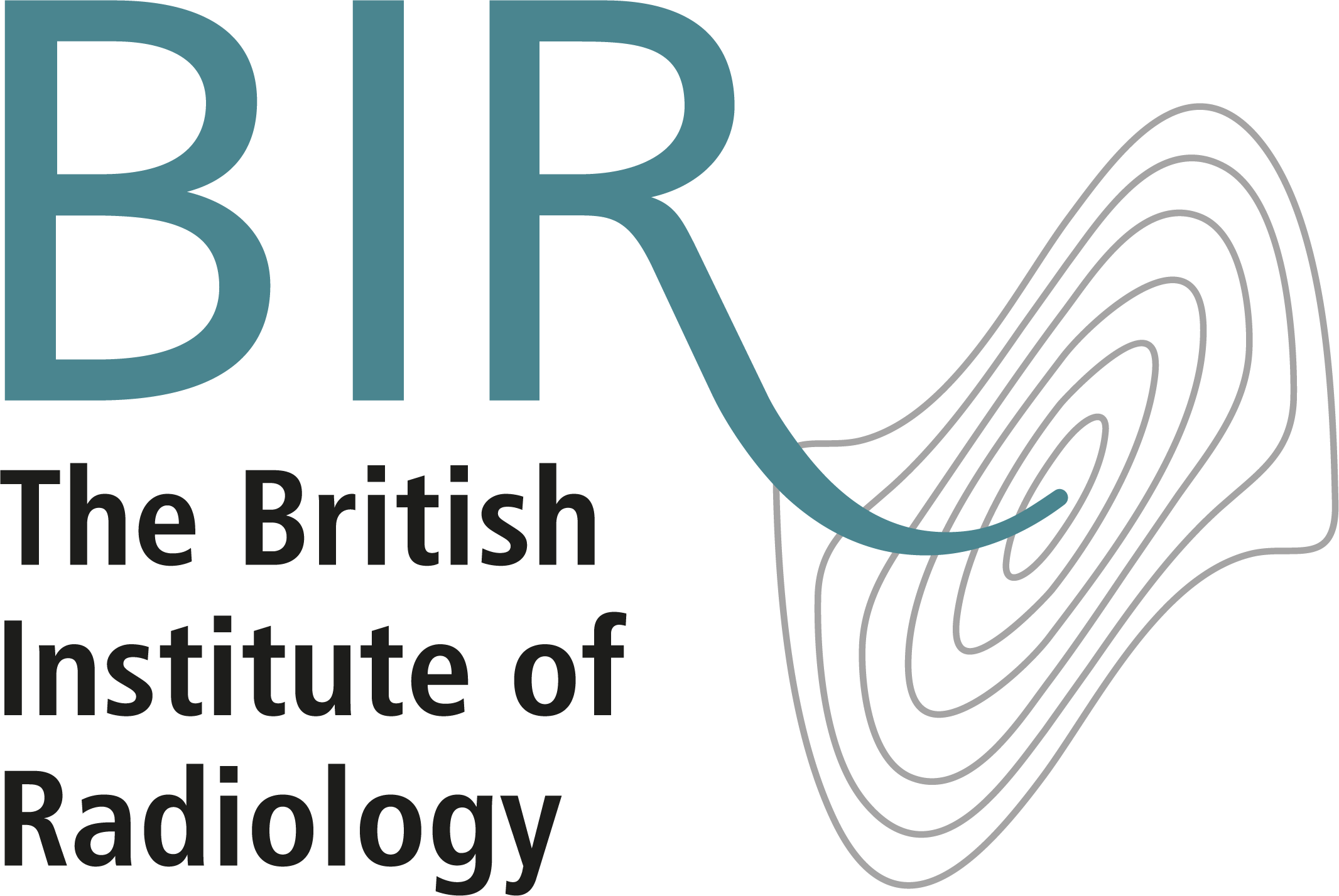 Bir Logo - BIR logo
