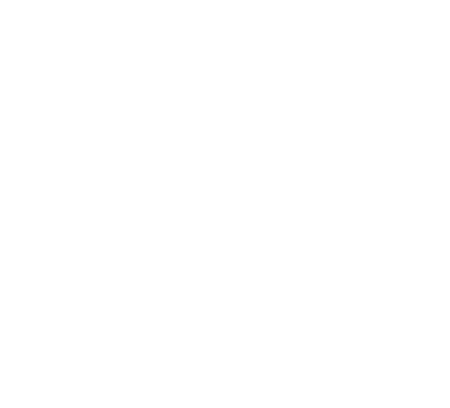 Bir Logo - Home Recycling Day