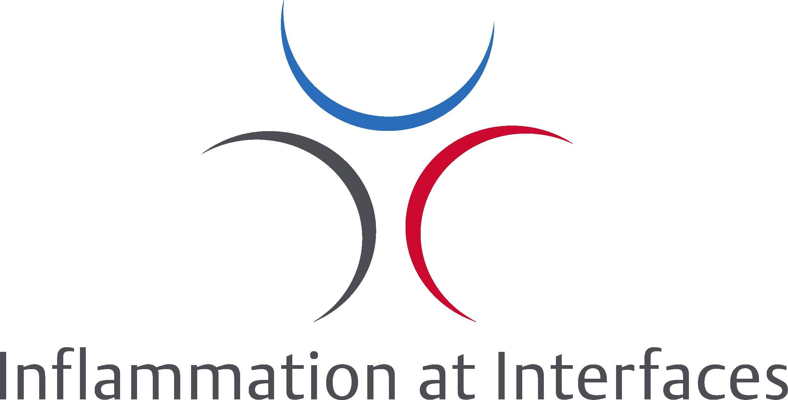 IAI Logo - Logo IAI