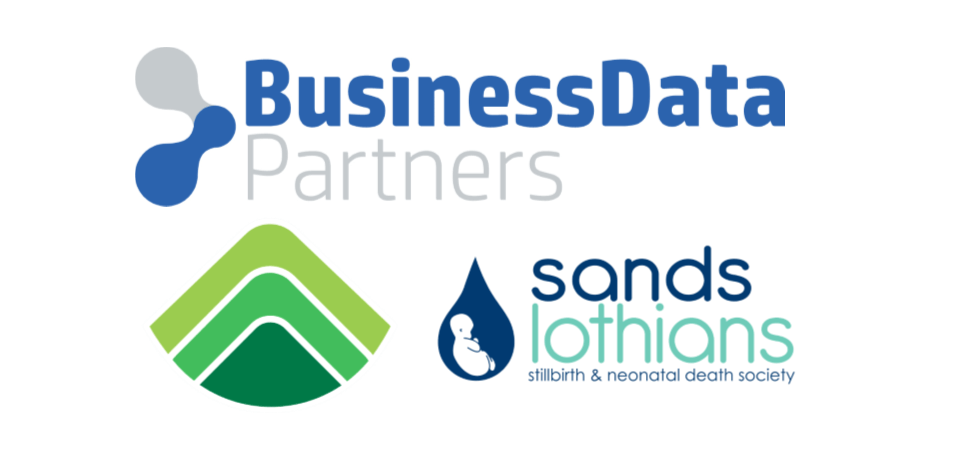 Sands Logo - BDP Three Peaks SANDS Logo - Business Data Partners