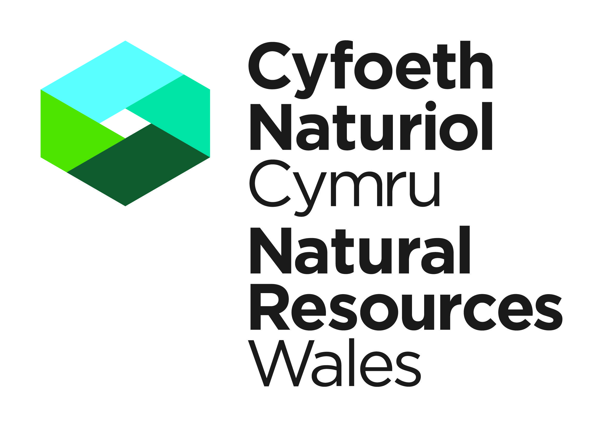 Resources Logo - Natural Resources Wales / About us