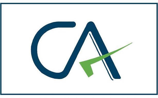 Auditor Logo - FEATURES CA / Auditor