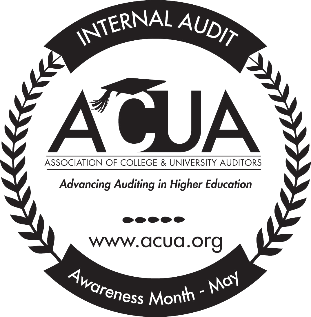 Auditor Logo - Internal Audit Awareness