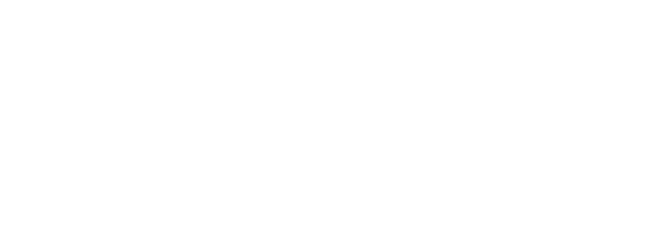 Voodoo Logo - Voodoo Logo
