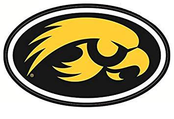 Tigerhawk Logo - Amazon.com: 8 Inch UI Tigerhawk Logo Decal University of Iowa ...
