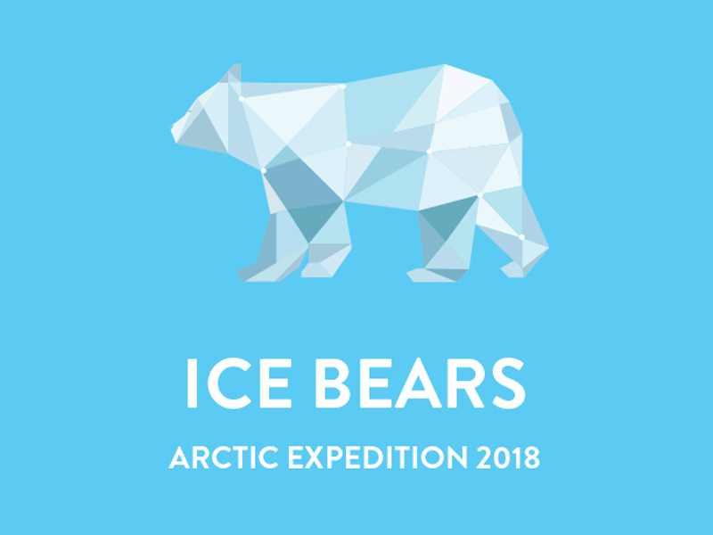 Inspirato Logo - Inspirato Arctic Logo by Lindsay Powell | Dribbble | Dribbble