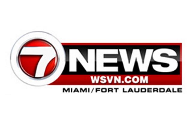 WSVN Logo - Press Logo Wsvn Miami Florida Reporter