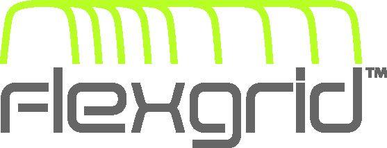 Finisar Logo - Finisar Flexgrid Technology Logo
