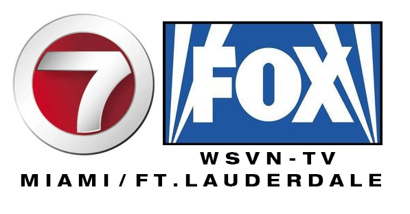 WSVN Logo - WSVN FOX.png