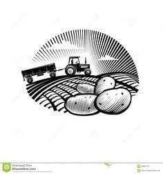 Potato Logo - 21 Best Jacket Potato Logo etc images | Catering trailer, Potato ...