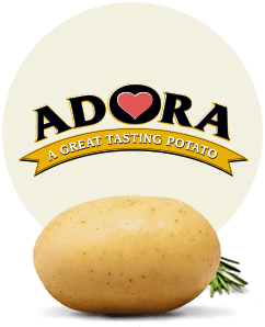 Potato Logo - Canadian Potato Growers | Kroeker Farms
