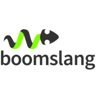 Boomslang Logo - Boomslang Tech SA de CV - Partner | Tenable®