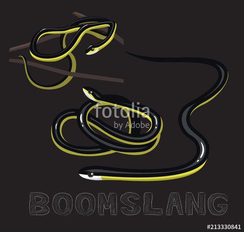 Boomslang Logo - Snake Boomslang Cartoon Vector Illustration Stock image and royalty