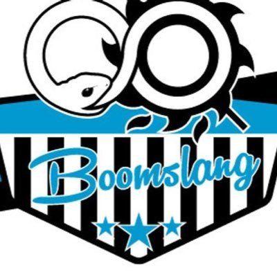 Boomslang Logo - Boomslang (@BoomslangUlt) | Twitter