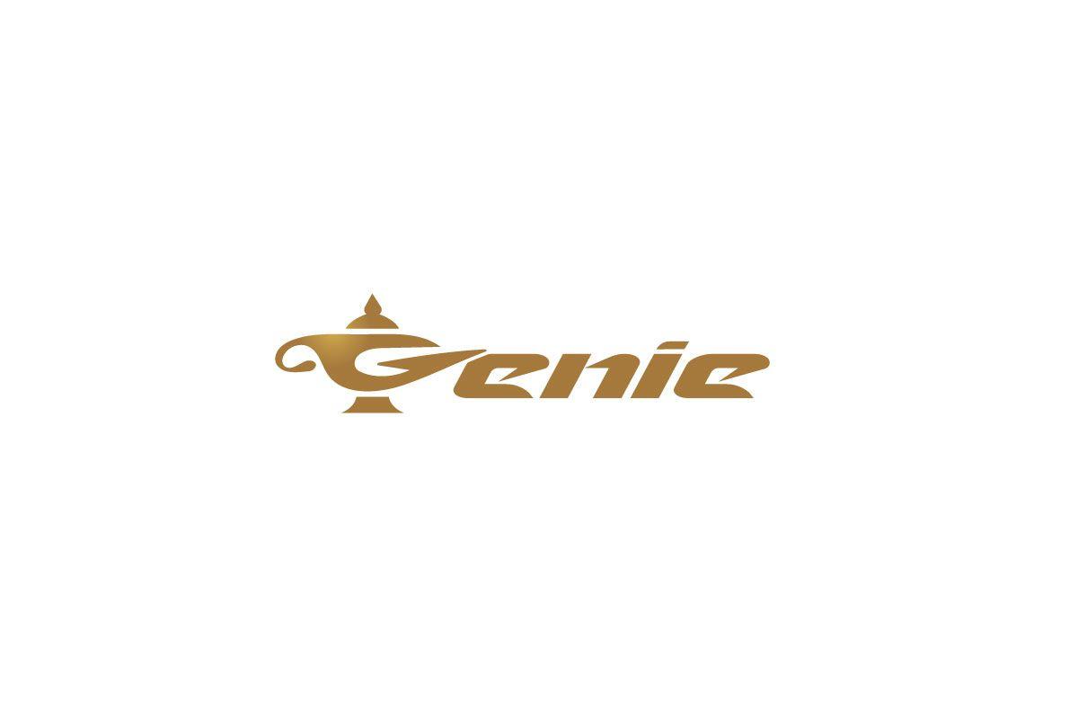 Genie Logo - SOLD - Genie Logotype Logo Design