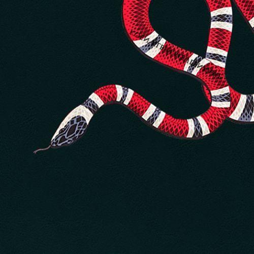 Gucci Snakes Logo - Gucci Snakes by AwonBeats