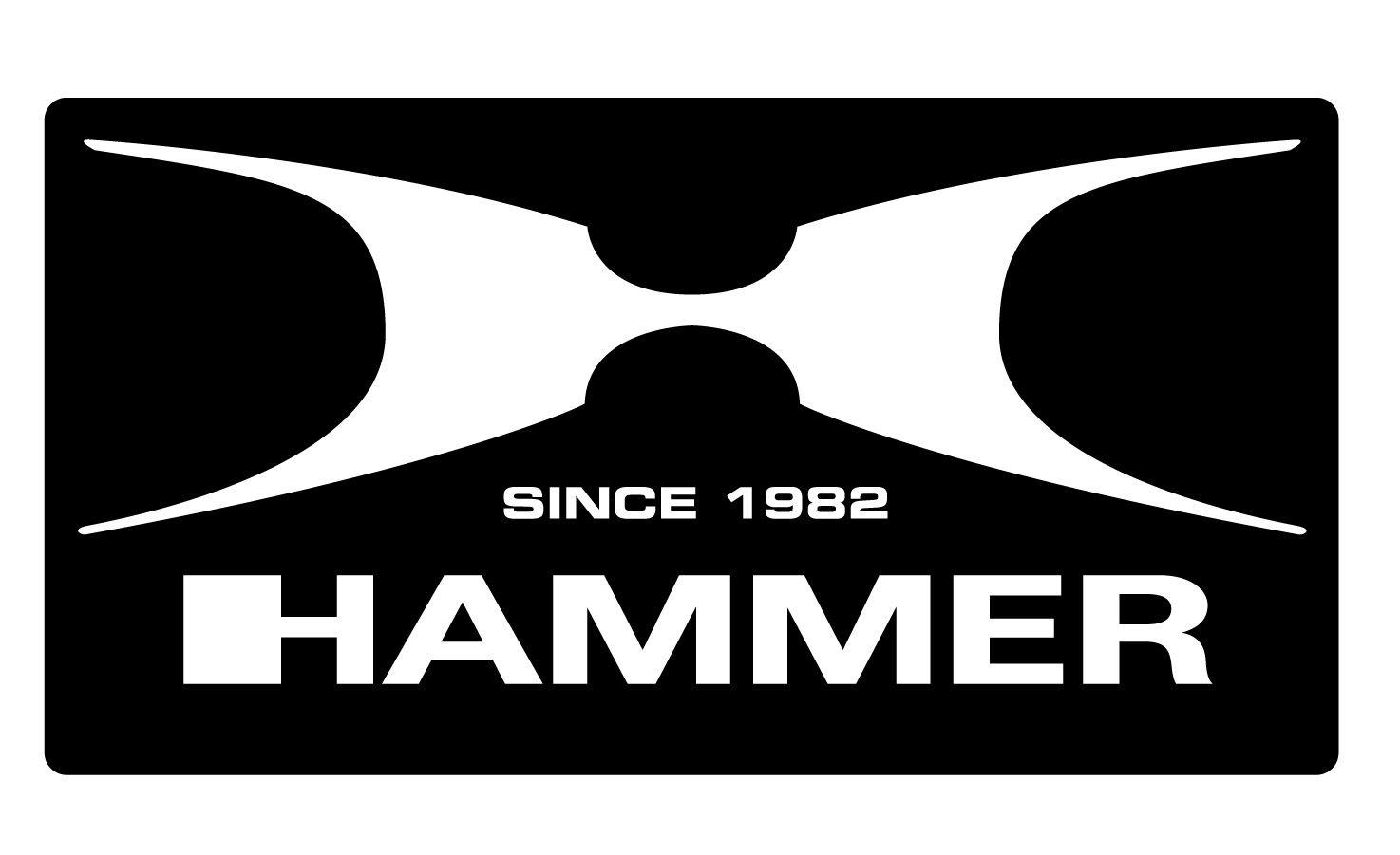 Hammer Logo - Hammer H