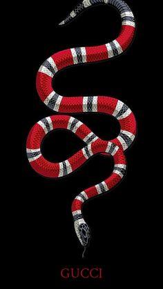 Gucci Snakes Logo - Gucci Snake. _Art_. iPhone wallpaper, Wallpaper, Hypebeast wallpaper