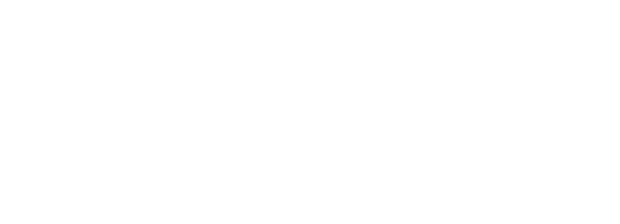 Everclear Logo - Make It Your Own with Everclear