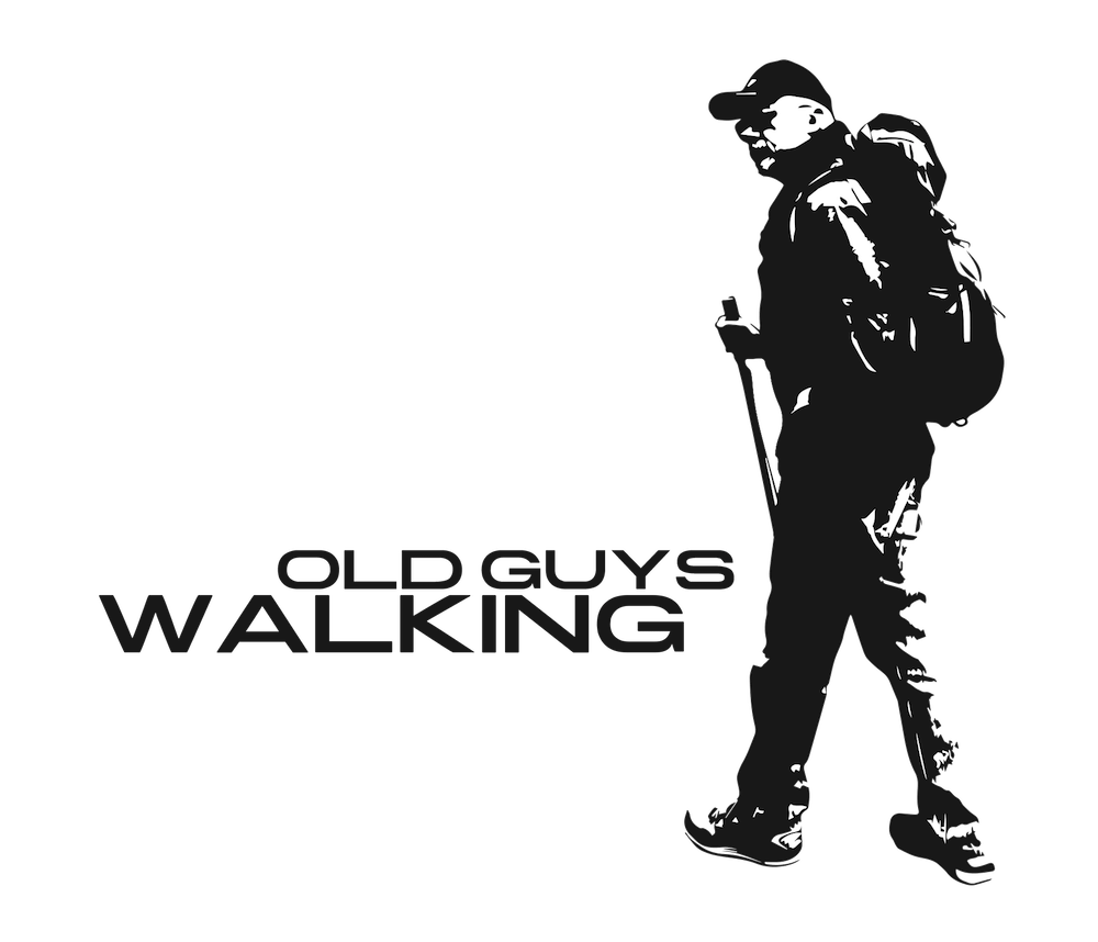 Walking Logo - November 2015